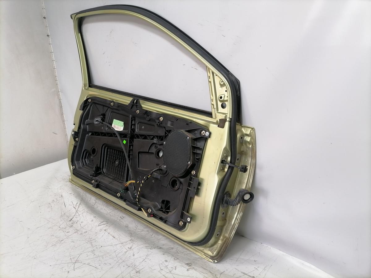 Ford Fiesta JD T&uuml;r vorn links Fahrert&uuml;r 3-T&uuml;rer Hellgr&uuml;nmetallic Bj.2007